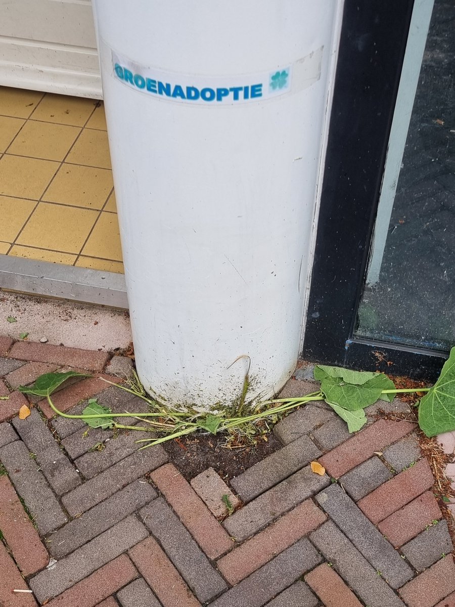 KeyFlex's tweet image. Het lijkt me dat degene die deze #kaalslag in de #Laanstraat op zijn geweten heeft, zijn incompetentieniveau inmiddels heeft bereikt 😠 @GemeenteBaarn @BCBaarn @Centrumbaarn @Vorstelijkbaarn