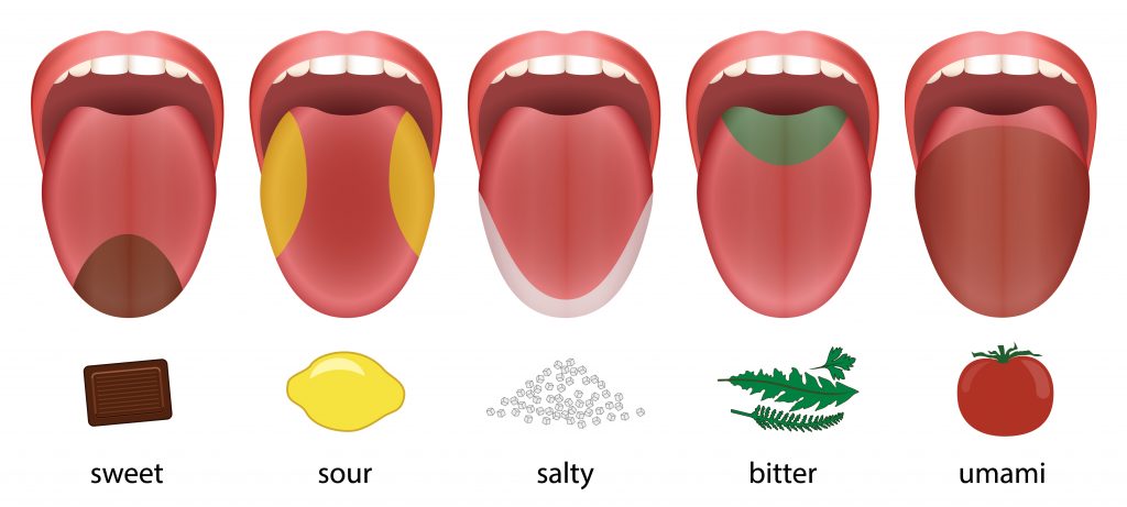 nosilverv's tweet photo. Synesthesia is the default (and I’m tired of pretending it’s not)

The sun is out during the day, and the moon during night. Different parts of the tongue taste different flavors. Synesthesia is rare.

All things we learned at school. All fake!

You’ve probably lived long enough to have seen the moon out during the day. And you’ve probably realized all parts of the tongue can taste everything. If not go get some salt right now and pour it in different parts of your tongue, I’ll wait.

…

…

Shocking, isn’t it? But wait, there’s more.

Now I don’t make any claim to knowing how synesthesia works. But I know it does.

I first got alerted to this when I was finishing my Masters and me and my colleagues were out in a club and one of them—who had worked at a circus—told us to “Dance your thesis”. And we all immediately knew what to do. How the fuck?

Since then I’ve seen endless examples of this sort of synesthesia. Social media is littered with it, in part because it makes for a fun “contrarian fact”. Some examples:

Now, what the hell, right? How could we not notice something that is right in front of us? 

Now maybe you are “respectable” and need more “academic” examples. Okay. Let’s look at the  kiki-bouba effect.

The kiki-bouba effect is this association most people make when presented these two shapes and told they’re from an alien language where one stands for “kiki” and the other for “bouba”. 

Now unless you are an alien the left one just “feels” like kiki and the right one like bouba. 

The reason this matters is that, if you paid attention in school, not only did you learn the moon isn’t out during the day and different parts of the tongue taste different tastes but you also learned that the connection between a symbol and a sound is arbitrary.

Well, evidently not: we connect sound to shapes. A form of synesthesia. 

So, again, what the hell, right? How can we not notice these things, right in front of us? Why do they get highlighted to us as viral memes that get their traction from being empirically verifiable and “””counter-intuitive””” , counter the intuition school instilled in us?

I think it’s simple. I think there are endless taboos on noticing. You are not supposed to actually look. You’re supposed to not notice. It’s “impolite” to notice. Sure, people leak info about their intentions all the time but you’re not supposed to act on it much less notice it. 

Now, okay, but WHY THE HELL? Well, remember how this whole time I’ve been talking about  creation and maintenance of knowledge gaps ensuring arbitrage opportunities? Yea…