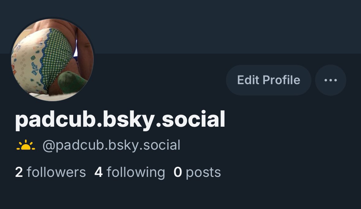 padcub ➡️ 🧢 CON ‘26 tweet media