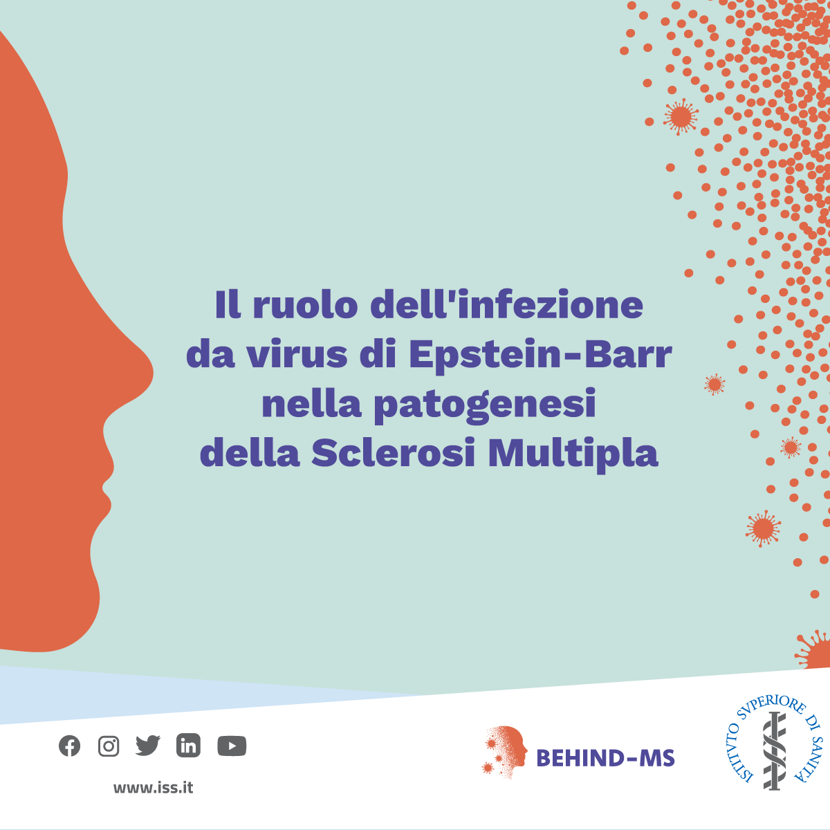 istsupsan's tweet photo. 💬Oggi parliamo di #ricerca sulla #SclerosiMultipla, e del progetto #BEHINDMS che conta sul contributo delle #ricercatrici del Dipartimento di #Neuroscienze dell’#ISS, Caterina #Veroni e Barbara #Serafini🎥 Scopri di più : https://t.co/6MYfv7IHyx https://t.co/6zqJE4F4bD