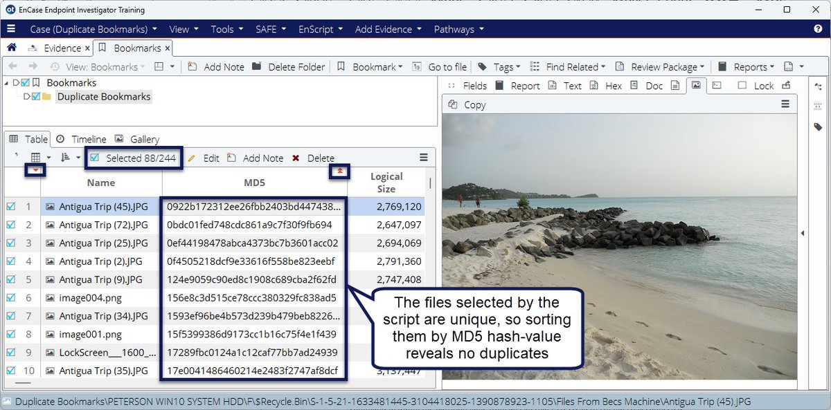 SimonDCKey's tweet image. #EnCase Bookmark Filter Plugin #EnScript V2.0 adds the ability to select unique or duplicate bookmarks by hash.
tiny.cc/7wyqzz
#automation #computerforensics #digitalforensics #networkforensics #cybersecurity #dfir #scripting @opentext #ediscovery