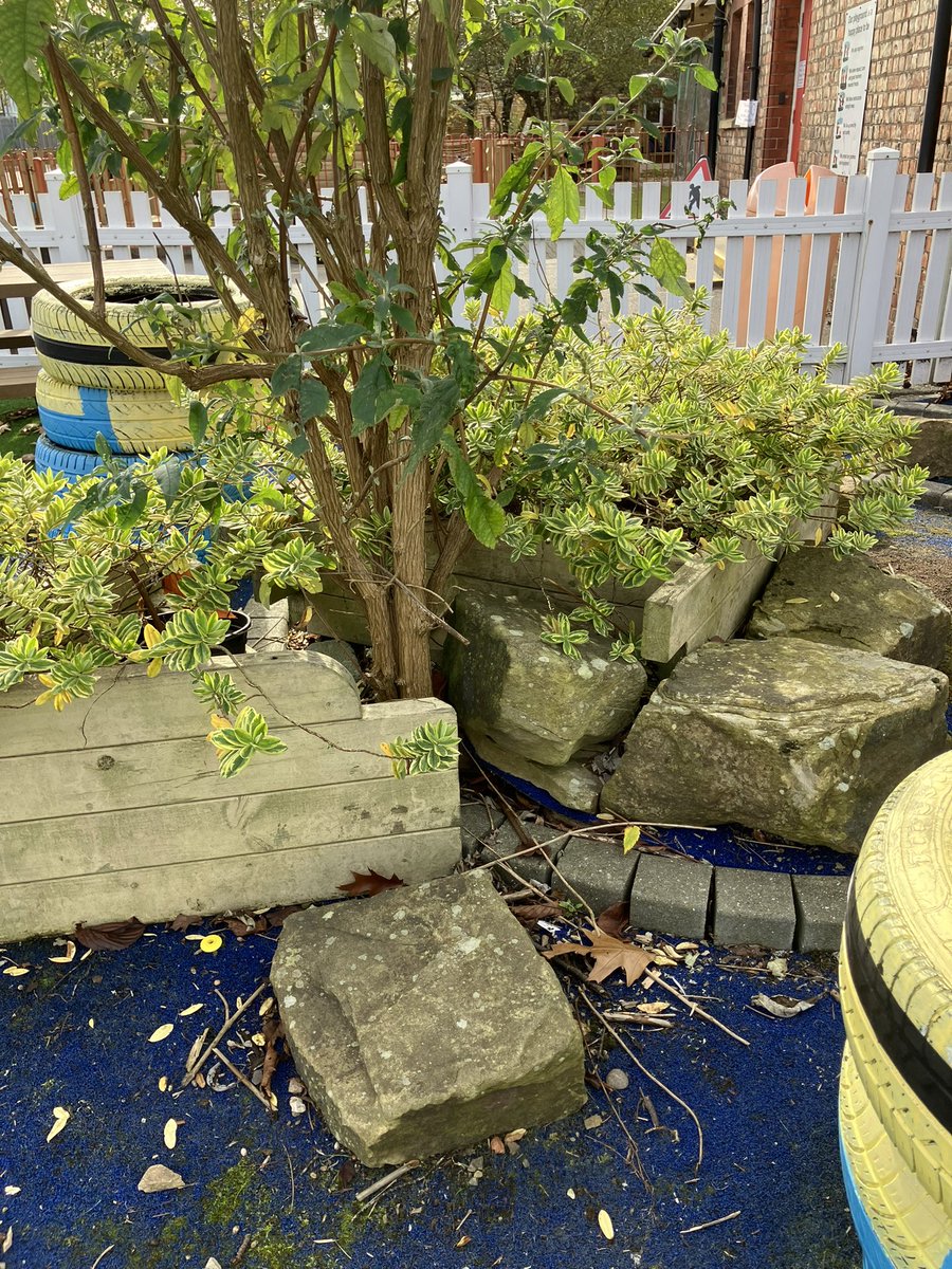 Ayresome Primary School (@ayresomeprimary) on Twitter photo Nothing beats being in nature 🍁 🍂 🍃
We are so excited to get things rolling with our adventures in Outdoor Play and Learning; lots has been taking place behind the scenes but just look at how it’s developing….<a href="/AdAstraTrust/">Ad Astra Academy Trust</a> <a href="/OPALNorthEast/">OPAL North East</a> <a href="/OPAL_CIC/">Outdoor Play and Learning (OPAL) CIC</a> Nothing beats being in nature 🍁 🍂 🍃
We are so excited to get things rolling with our adventures in Outdoor Play and Learning; lots has been taking place behind the scenes but just look at how it’s developing….<a href="/AdAstraTrust/">Ad Astra Academy Trust</a> <a href="/OPALNorthEast/">OPAL North East</a> <a href="/OPAL_CIC/">Outdoor Play and Learning (OPAL) CIC</a>