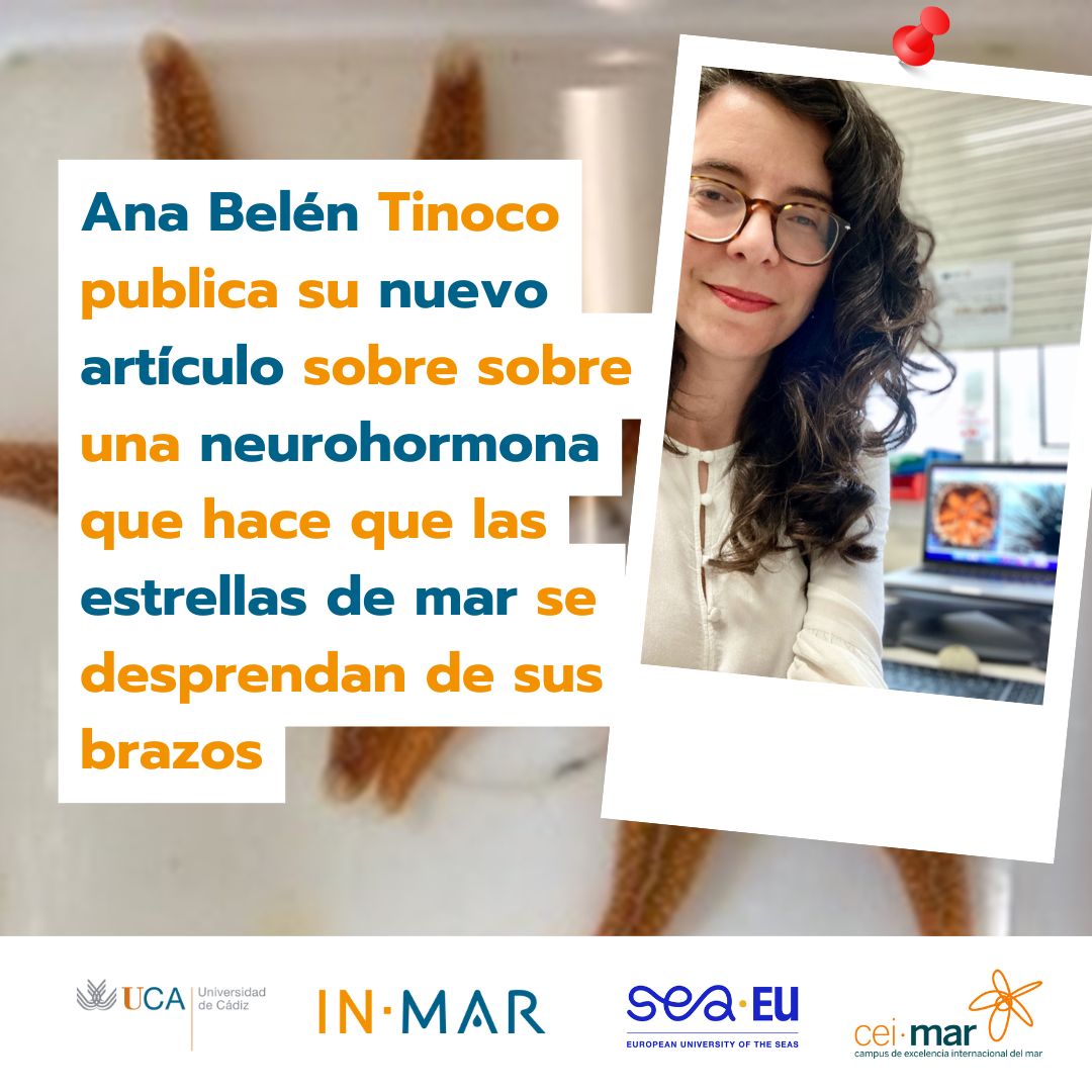 Divulgación INMAR tweet media