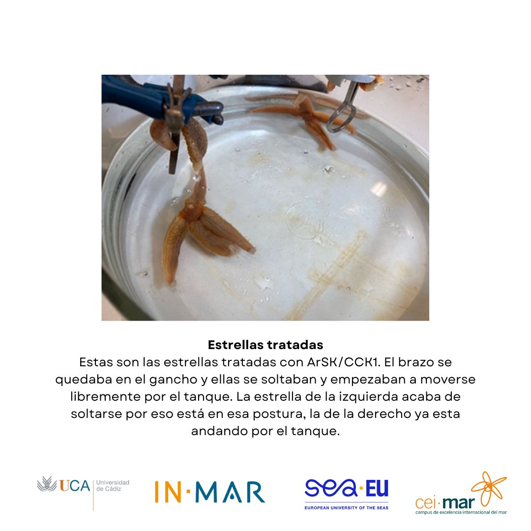 Divulgación INMAR tweet media