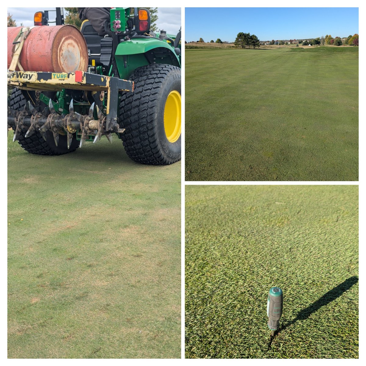 1st mowing after aerway solid tine on fairways.  A good 5 inch average deep. hardly noticeable today