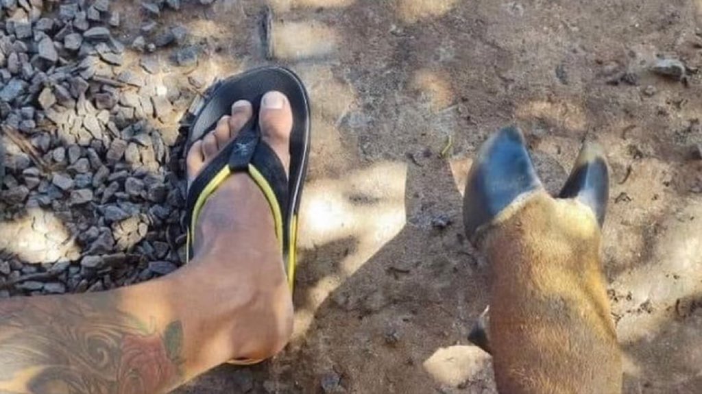69tonsdeprazer's tweet photo. "Eu perdoei pq eram só mensagens sabe?" https://t.co/HSwMdBI8Tw
