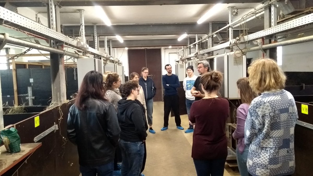 DZG section Behavioural Biology tweet media