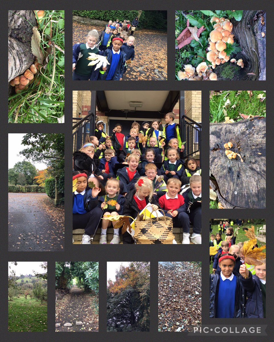 Founders’ Week is always a special time to learn about the rich history of our wonderfully unique school. Our autumn walk took us around Holly Mount &amp; we identified buildings that were once part of the orphanage and school. <a href="/Hollymountbury/">Holly Mount RC Primary</a> #fieldwork