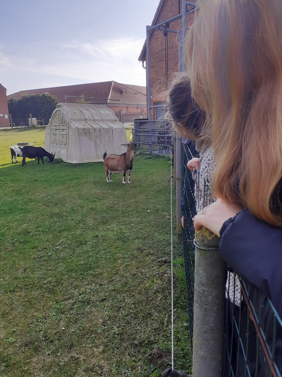 DZG section Behavioural Biology (@dzg_behaviour) on Twitter photo Last but not least β no meeting at <a href="/FBNDummerstorf/">FBN Dummerstorf</a> without a visit to the animal facilities. π·π
Clever pigs and goats all the way!
#gradbehav24 Last but not least β no meeting at <a href="/FBNDummerstorf/">FBN Dummerstorf</a> without a visit to the animal facilities. π·π
Clever pigs and goats all the way!
#gradbehav24