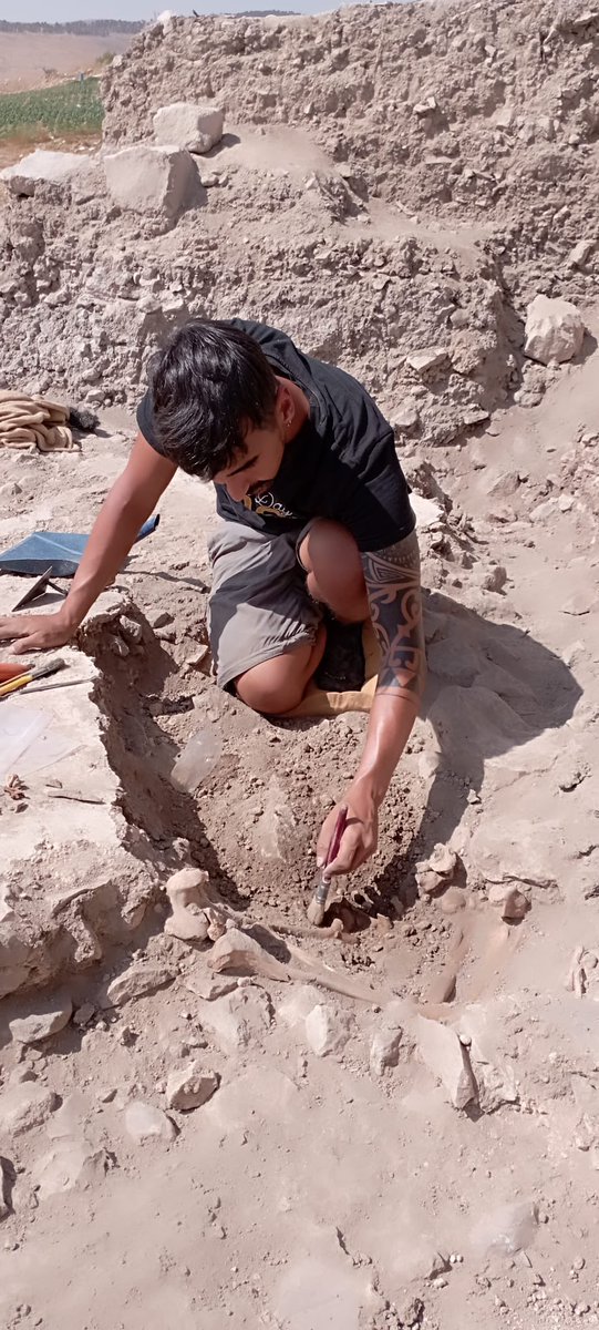 Jared Jiménez tweet media