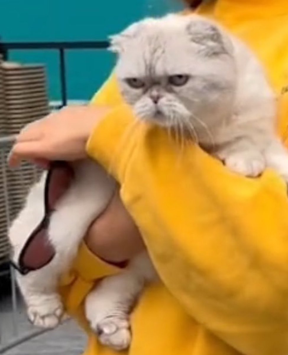 evilhrry's tweet image. a diva sempre exalando carisma💖