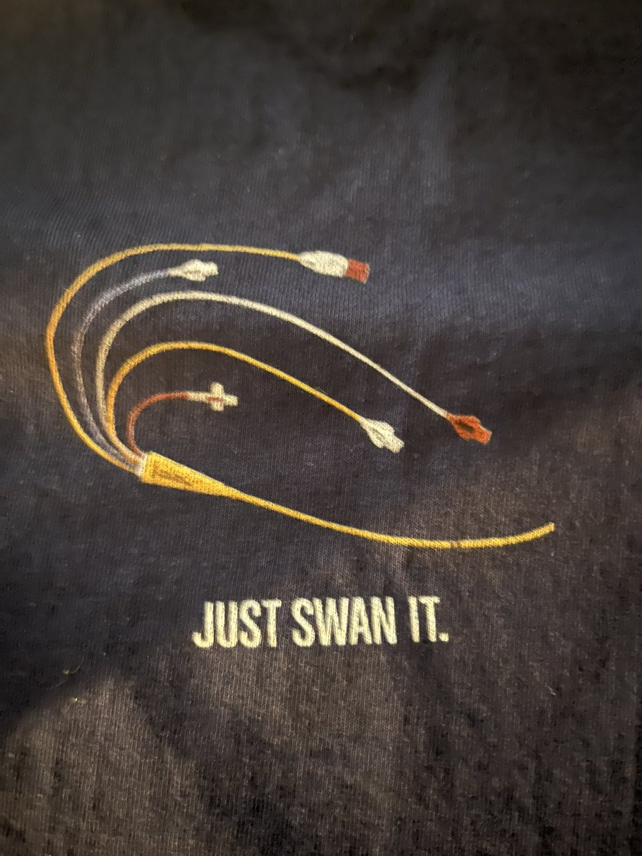 Babar_Basir's tweet photo. Congratulations to @BrianMc1976 & @ReadingHosp on their growing CS program. Happy to have them at #SCAISHOCK24 , love my new shirt! #JustSwanIt https://t.co/Z1KbN6SACs