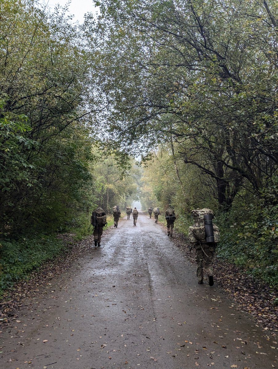 Tactical Supply Wing tweet media