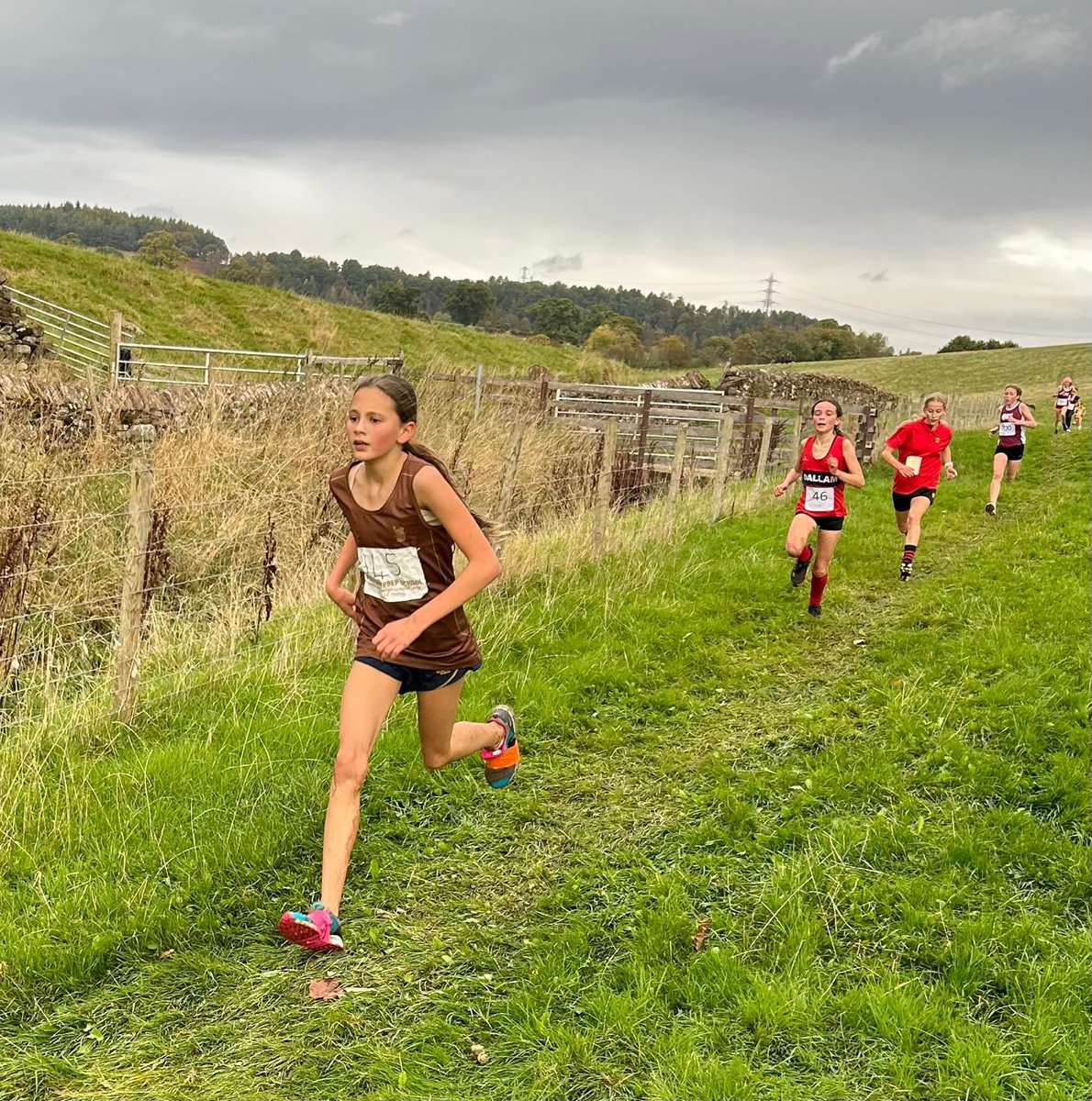 Boarding tweet media