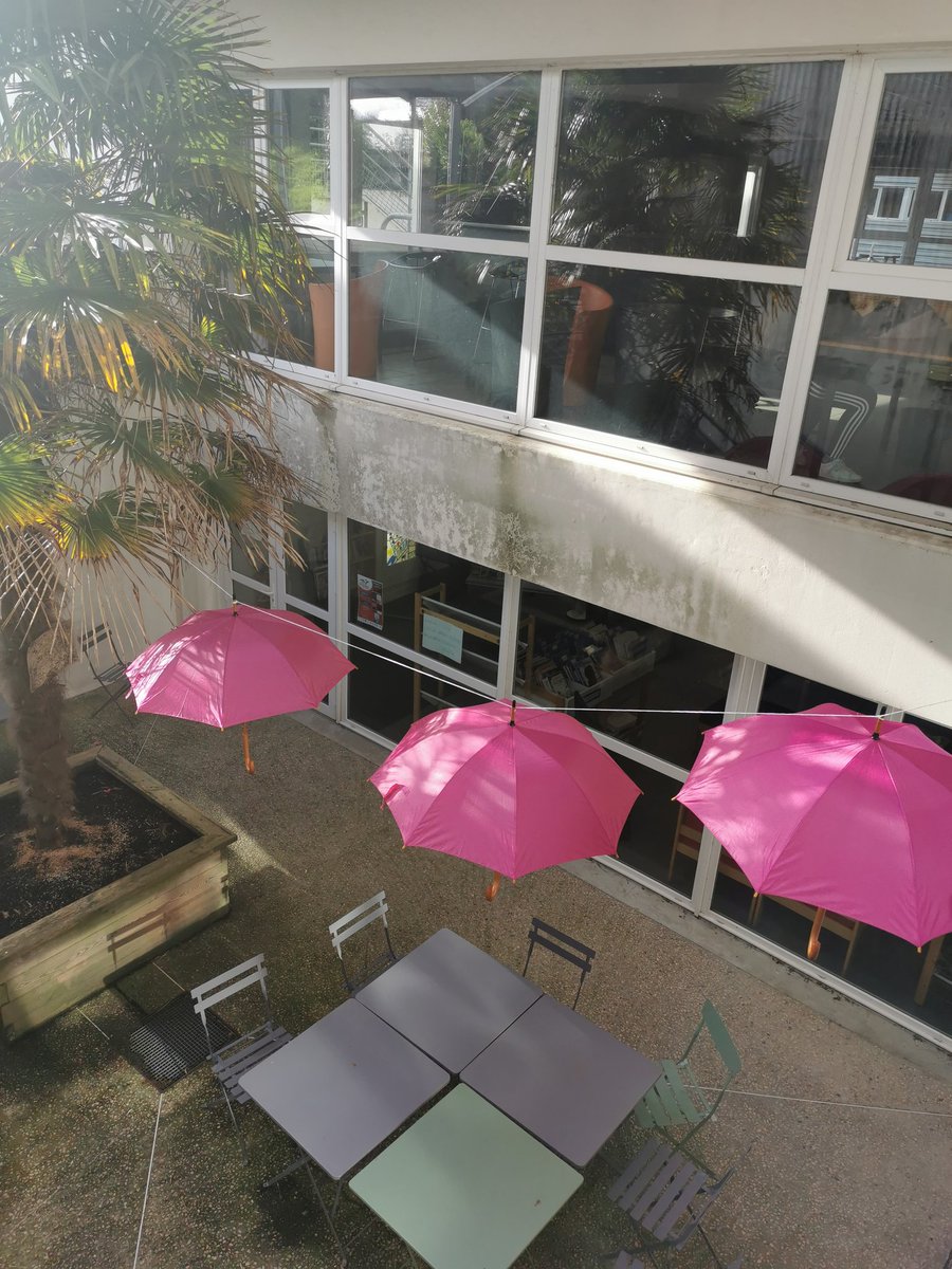 Lycée paré de rose pour sensibiliser la communauté éducative à la lutte contre le #cancerdusein qui touche une femme sur 8 dans sa vie (chiffres #liguecontrelecancer 2023).
#OctobreRose