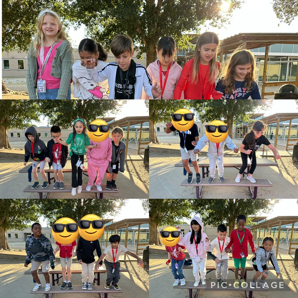 Forces and Gravity fun🥼