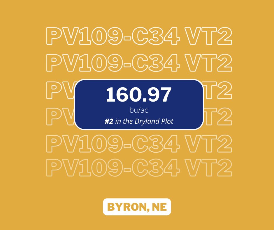 PV hybrids showing up in the top 5 in both of these irrigated and dryland plots in Byron, NE...versatility for your acres! #harvest2024