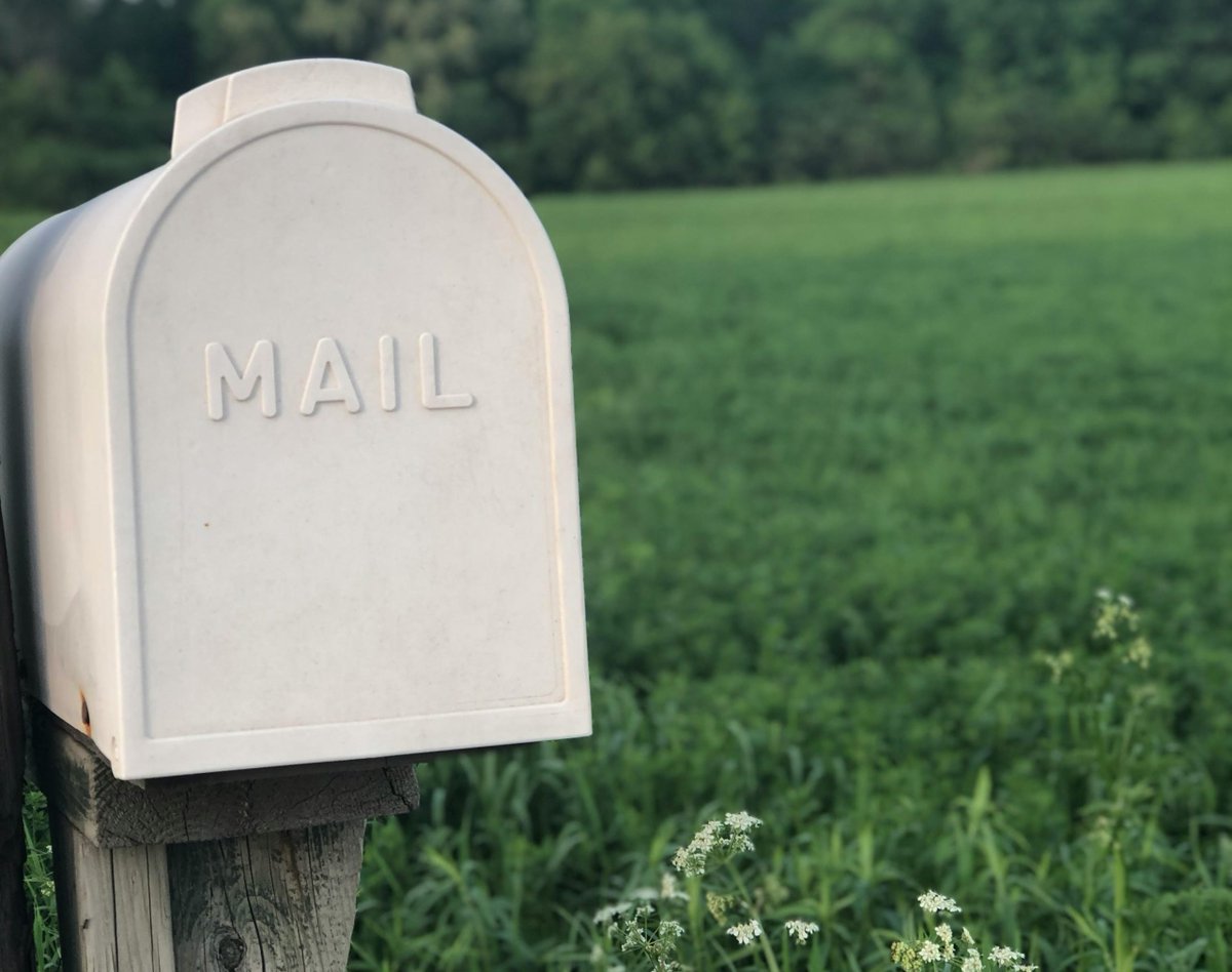 BookChat_'s tweet image. 8 Newsletters to Spark Your Creativity electricliterature.com/newsletters-to… #ReadingLists #craft