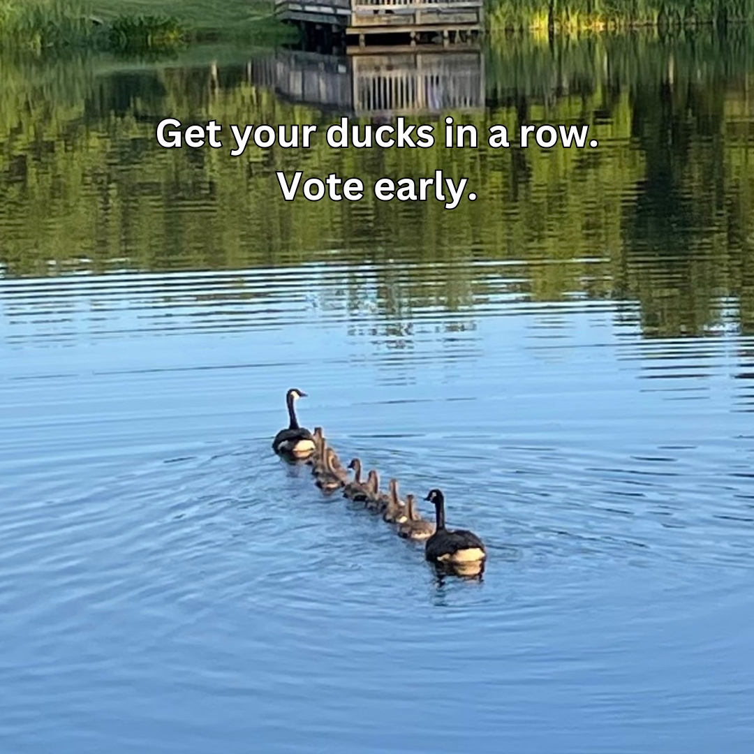 Sully Democrats tweet media