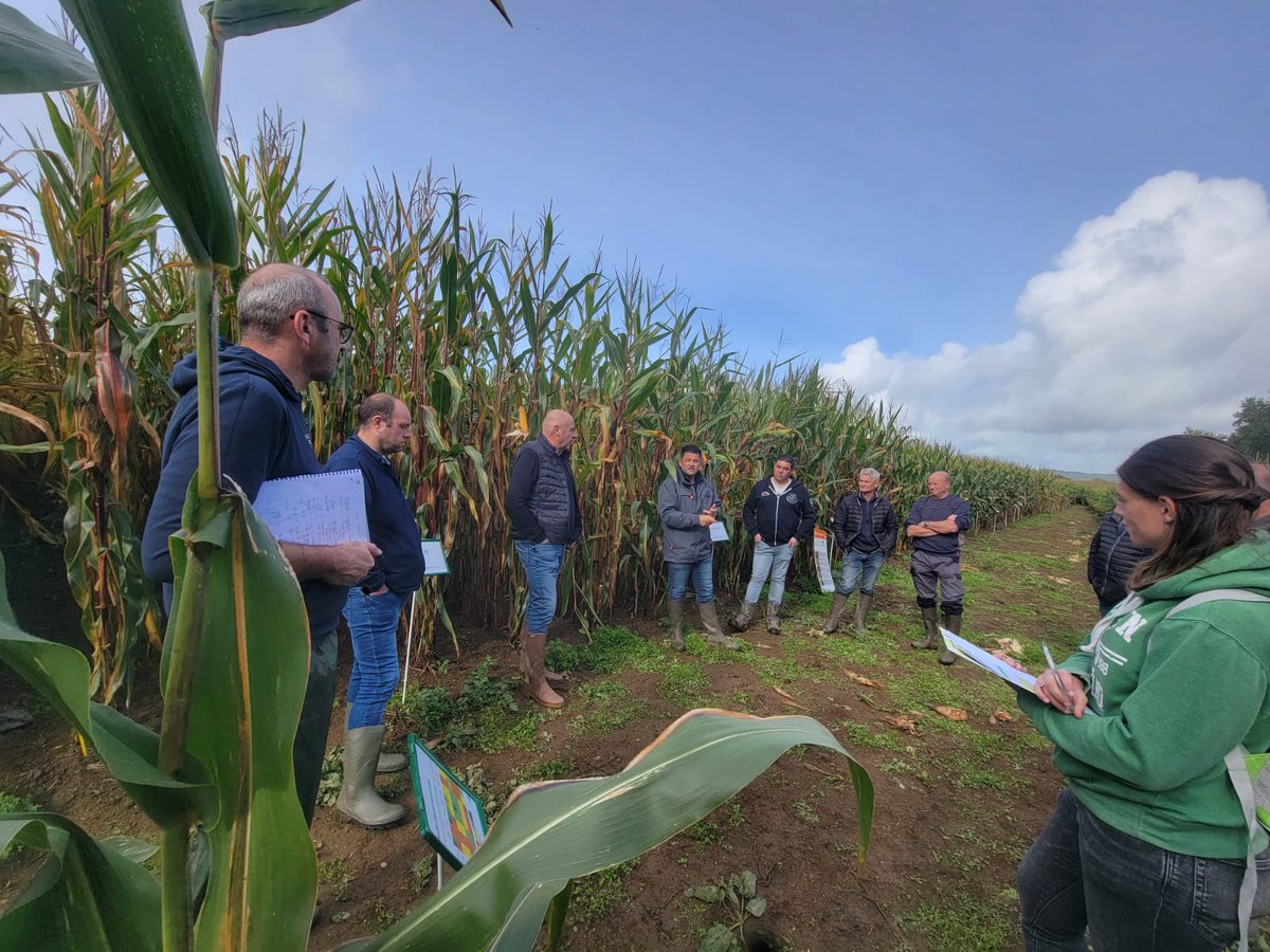 Hervé Kevin tweet media