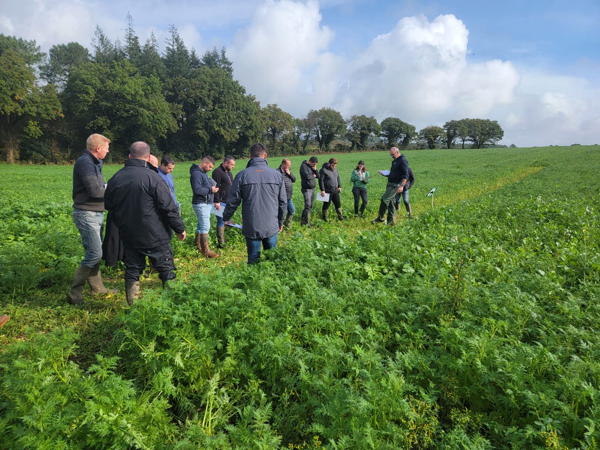 Hervé Kevin tweet media