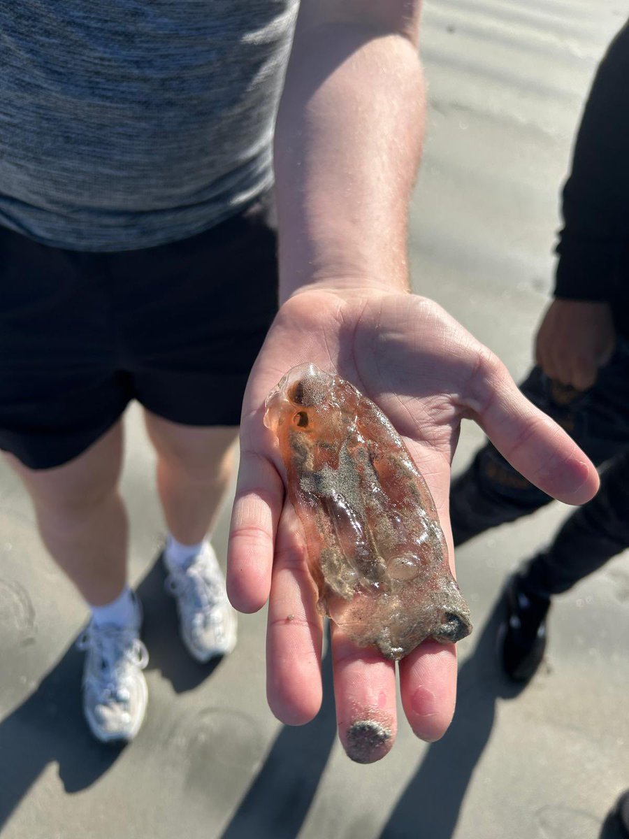 gsmhicd's tweet image. A big thank you to David from Sea Collective to bring so much knowledge, passion and respect to all our TY students. #knowyourenvironment #indooroutdoorclasses #sustainability #inclusion @DonegalETB @IrishSchSusty