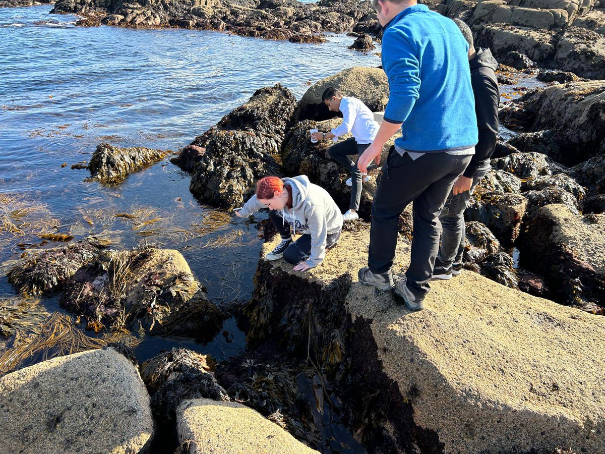 gsmhicd's tweet image. A big thank you to David from Sea Collective to bring so much knowledge, passion and respect to all our TY students. #knowyourenvironment #indooroutdoorclasses #sustainability #inclusion @DonegalETB @IrishSchSusty