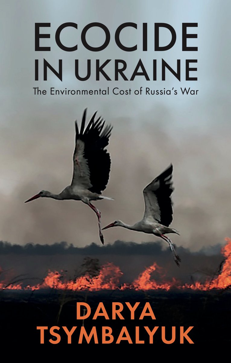 Darya (Дарця) Tsymbalyuk tweet media