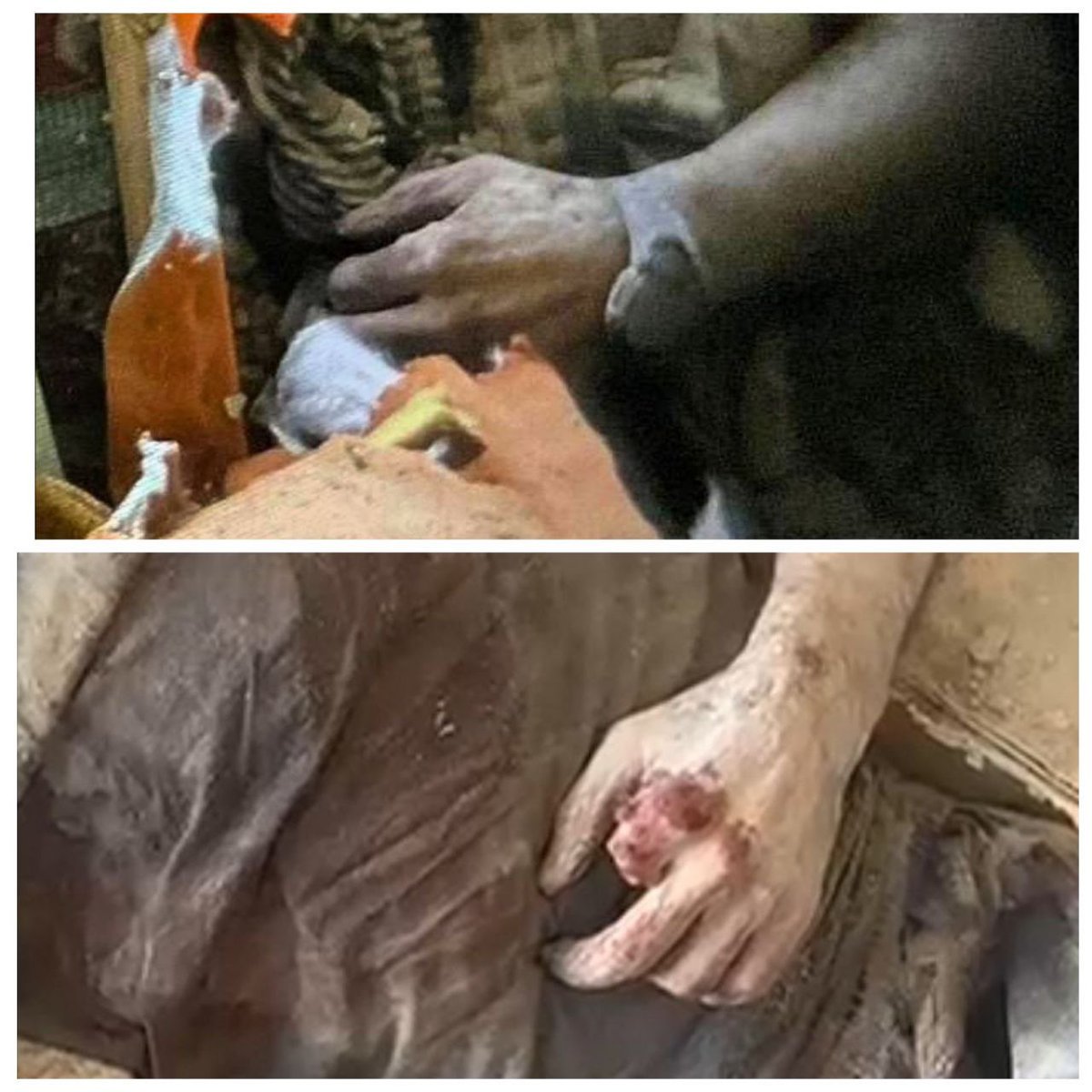 Lord Bebo tweet media