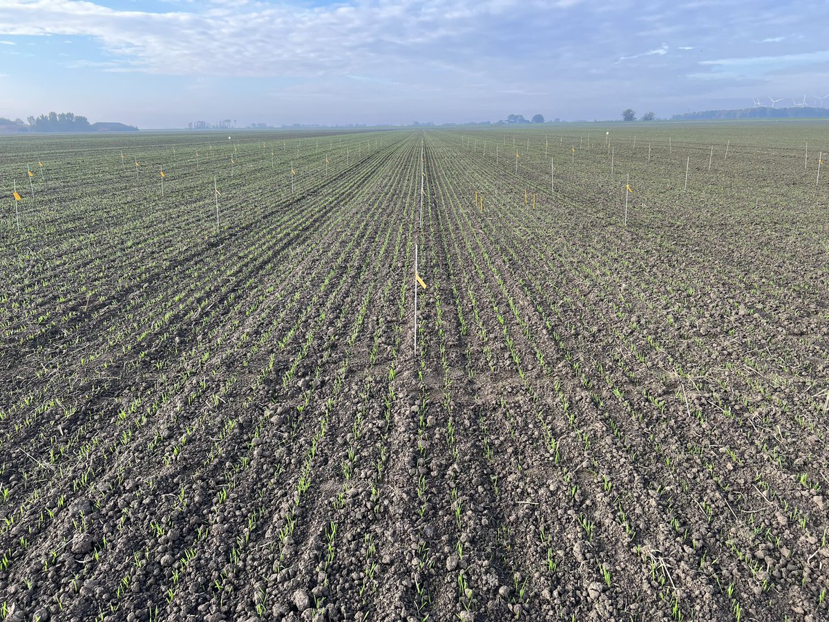 debeik's tweet photo. Een fantastische mooi morgen!  Bespuiting erop ! #onderzoek #Bayer #Duist #Wintertarwe https://t.co/PvHQxwyyZJ