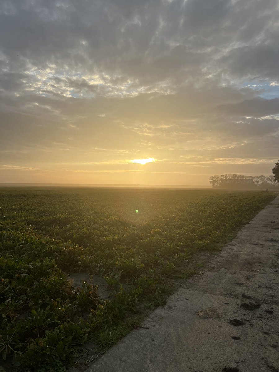 debeik's tweet photo. Een fantastische mooi morgen!  Bespuiting erop ! #onderzoek #Bayer #Duist #Wintertarwe https://t.co/PvHQxwyyZJ