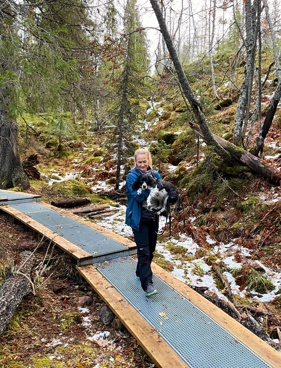 Sanna Jääskeläinen tweet media