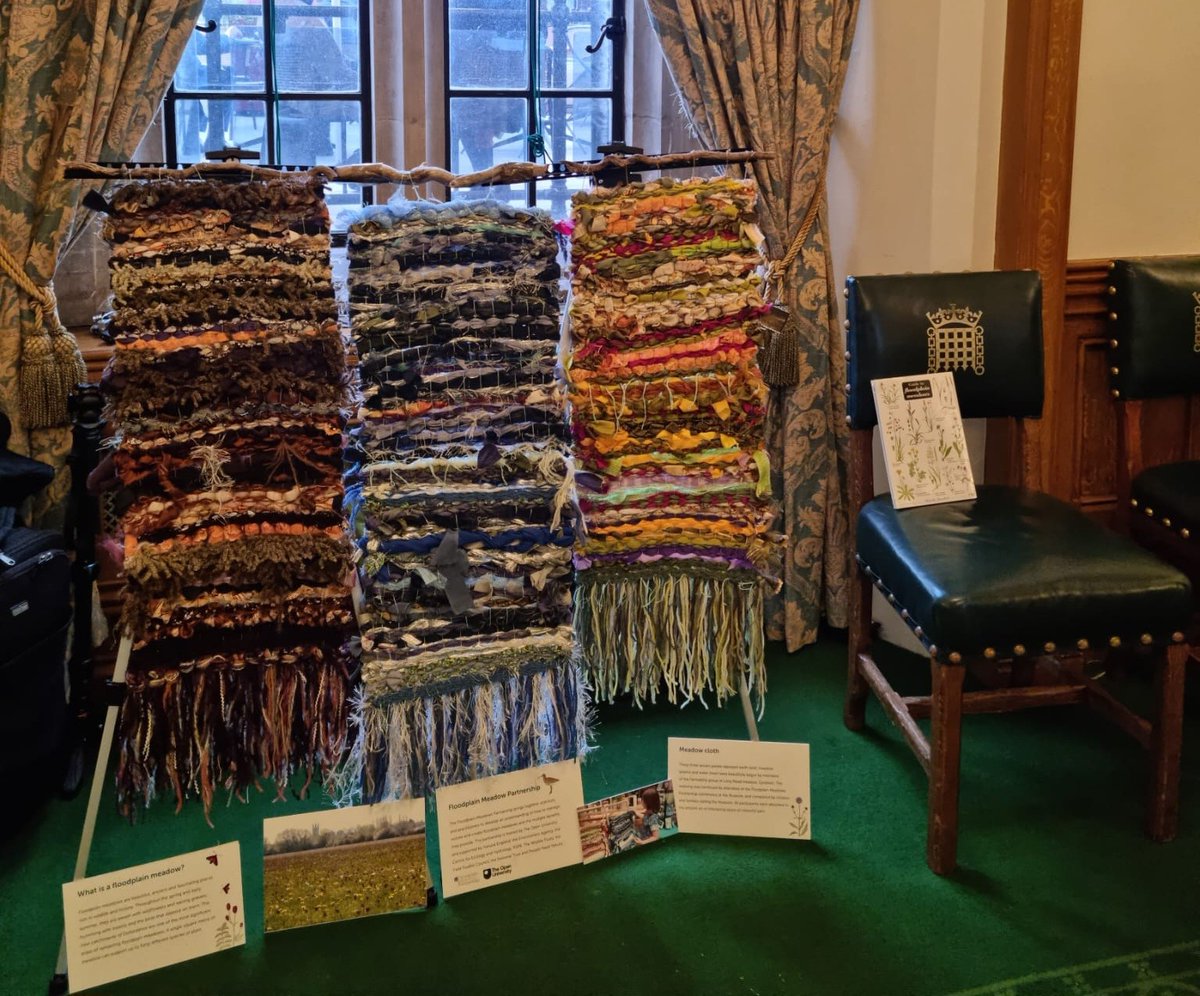 Meadow advocacy action at the <a href="/Love_plants/">Plantlife</a>  Westminster reception on the value of #grasslands this week, along with the gorgeous <a href="/Floodplainmead/">Floodplain Meadows Partnership</a> weaving artwork.  Do encourage your MP to sign the Early Day Motion on the need for a Grassland Action Plan. bit.ly/4eNBnko