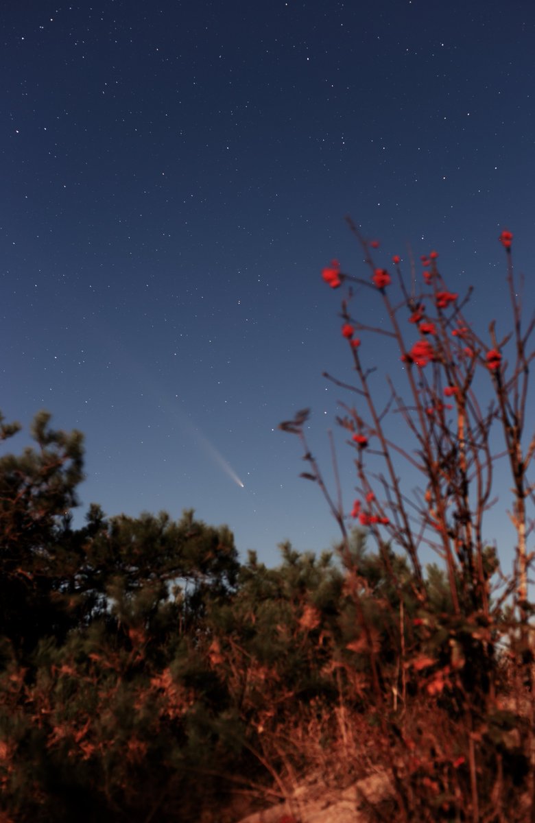 Rudens veltes...

Komēta #C2023A3 
Pape.
17.X.2024