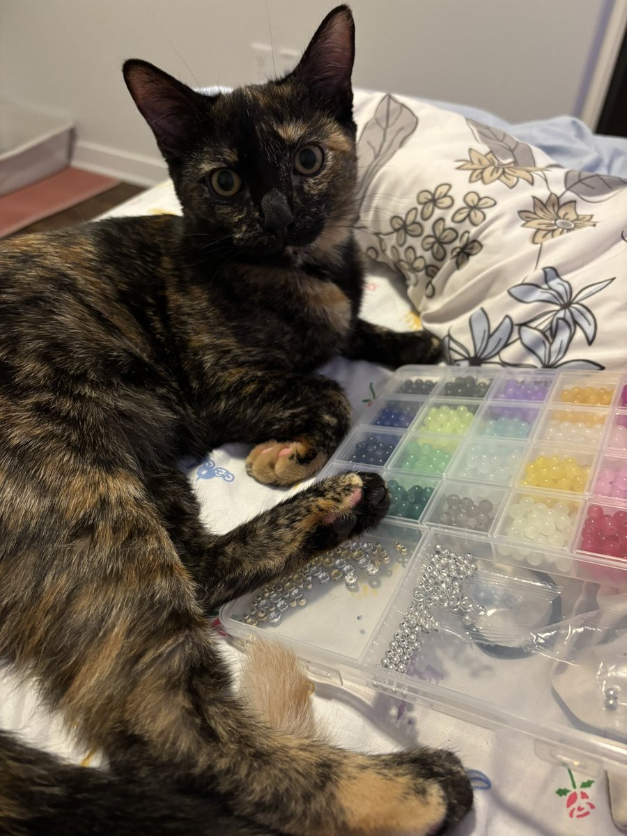 its_a_bella's tweet photo. @taylornation13 goose is on the way to make her outfit and finish her bracelets since all cats are now invited @taylornation13 #TSTheErasTour https://t.co/DnFas79Rkp