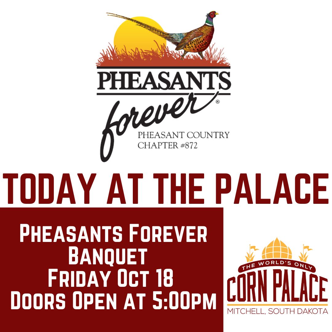 The_Corn_Palace's tweet photo. Today at the Palace!  #TheWorldsOnlyCornPalace #MitchellSD #VisitMitchell #PheasantHunting #HiFromSD https://t.co/eB8CgJVkwc