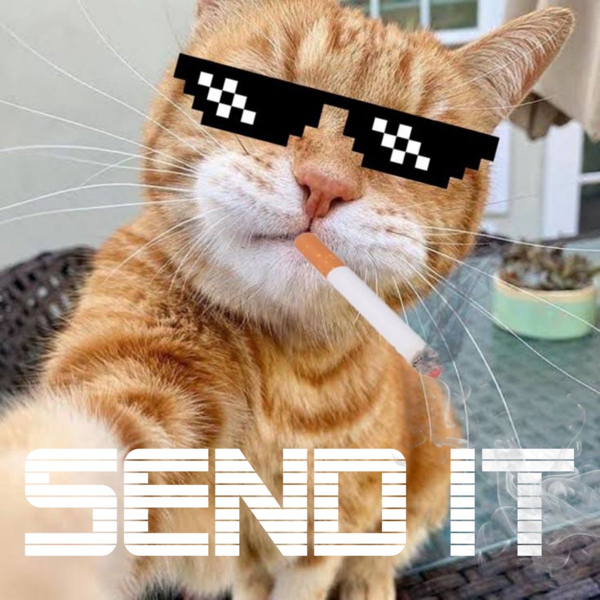 LotusisFast's tweet photo. @Zeneca I say POTCAT 🚬🚬

AYshpqChh6xPzgPVKFNMdGssVU3qdN7rv3LWmmnyNFsP

@Potcatonsolana https://t.co/V4KKTRvU3h
