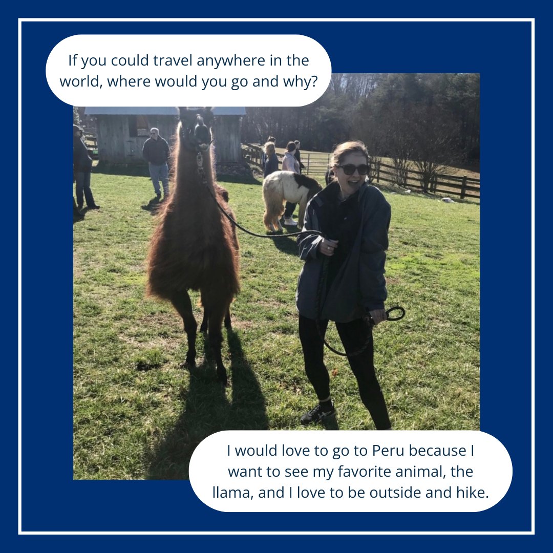 Master of Science in Anesthesia Program tweet media