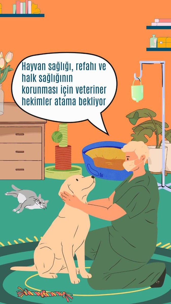 Killmehealme705's tweet photo. #VeterinerHekimlerAtamaBekliyor #hesapsız @nowhaber #veterinerhekimatamabekliyor @ttosgm #TABGIDA #denetimisihekimisi #VeterinerHekimler5000Atamaistiyor @selcukktepeli https://t.co/yZQ37kPvCT
