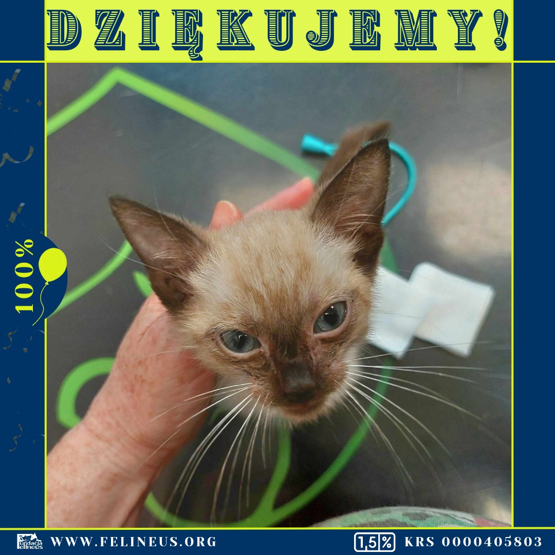 Dziękujemy za Twoje wsparcie – bez Ciebie nie udałoby się zebrać potrzebnej kwoty.
Razem wielką mamy moc!
Endżi czuje się już znacznie lepiej i wesoło bryka w domu tymczasowym fundacji.

Dla przypomnienia historii podsyłamy link:
ratujemyzwierzaki.pl/endzi-felineus 

<a href="/MZernicka/">MAŁGORZATA ŻERNICKA</a>