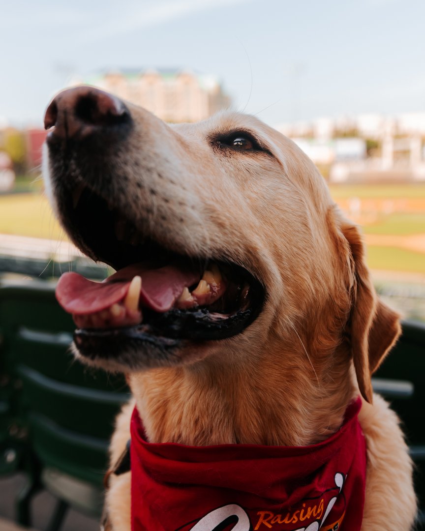 Soaking up every sunny October moment!