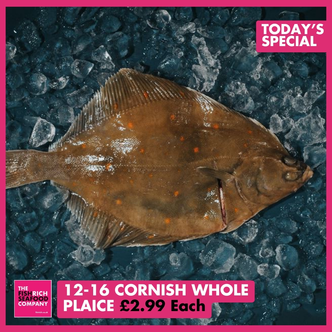 The FishRich Seafood Company tweet media