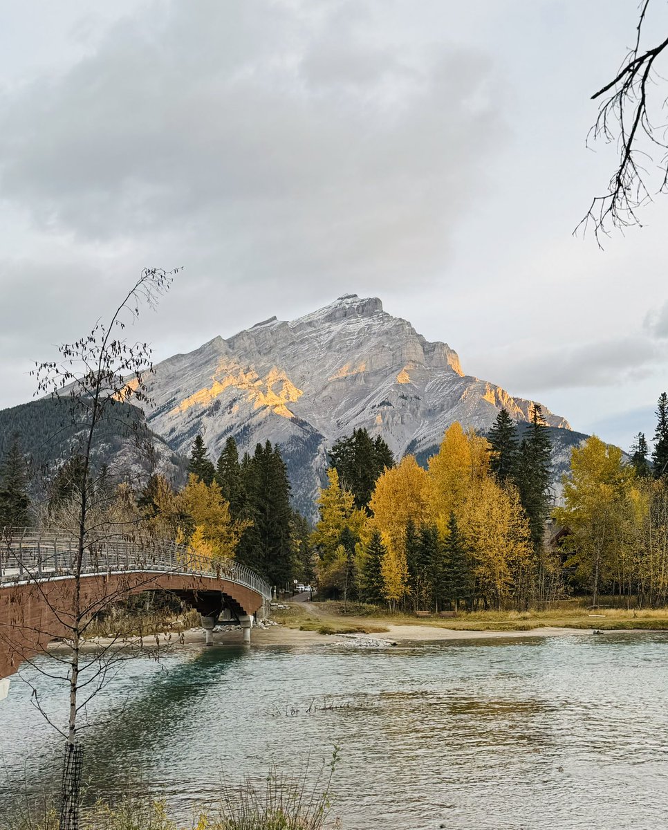 Jody Wilson-Raybould (JWR), PC, OBC, KC 王州迪 tweet media