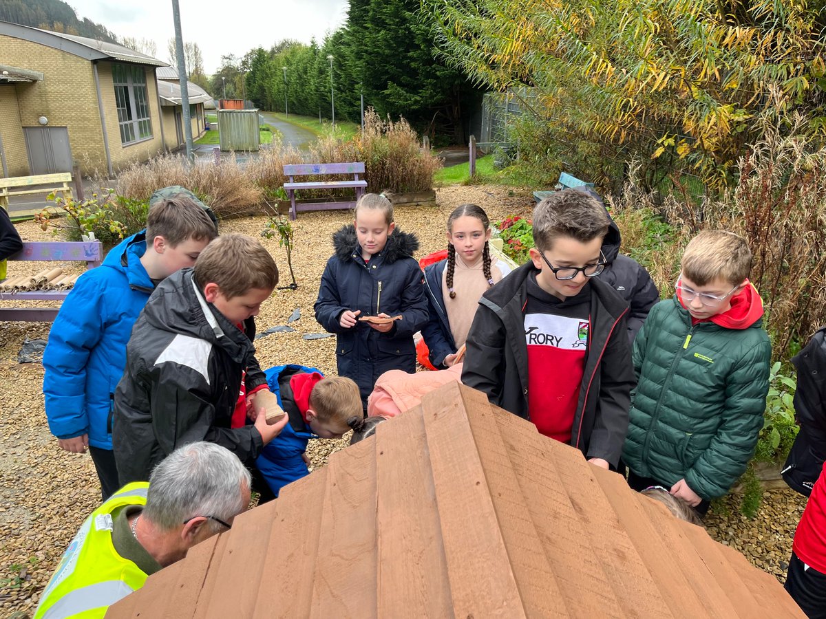 OVPS Mr Whaley tweet media