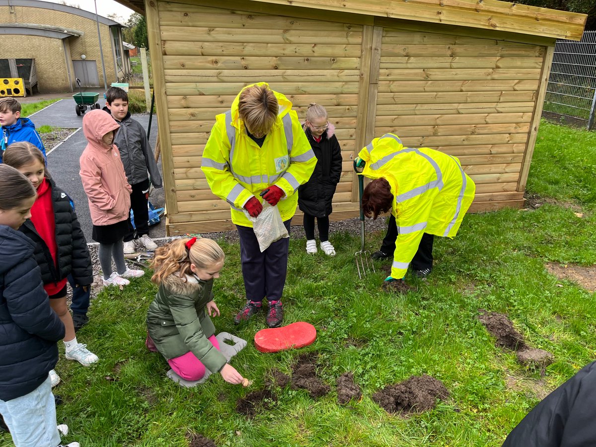 OVPS Mr Whaley tweet media