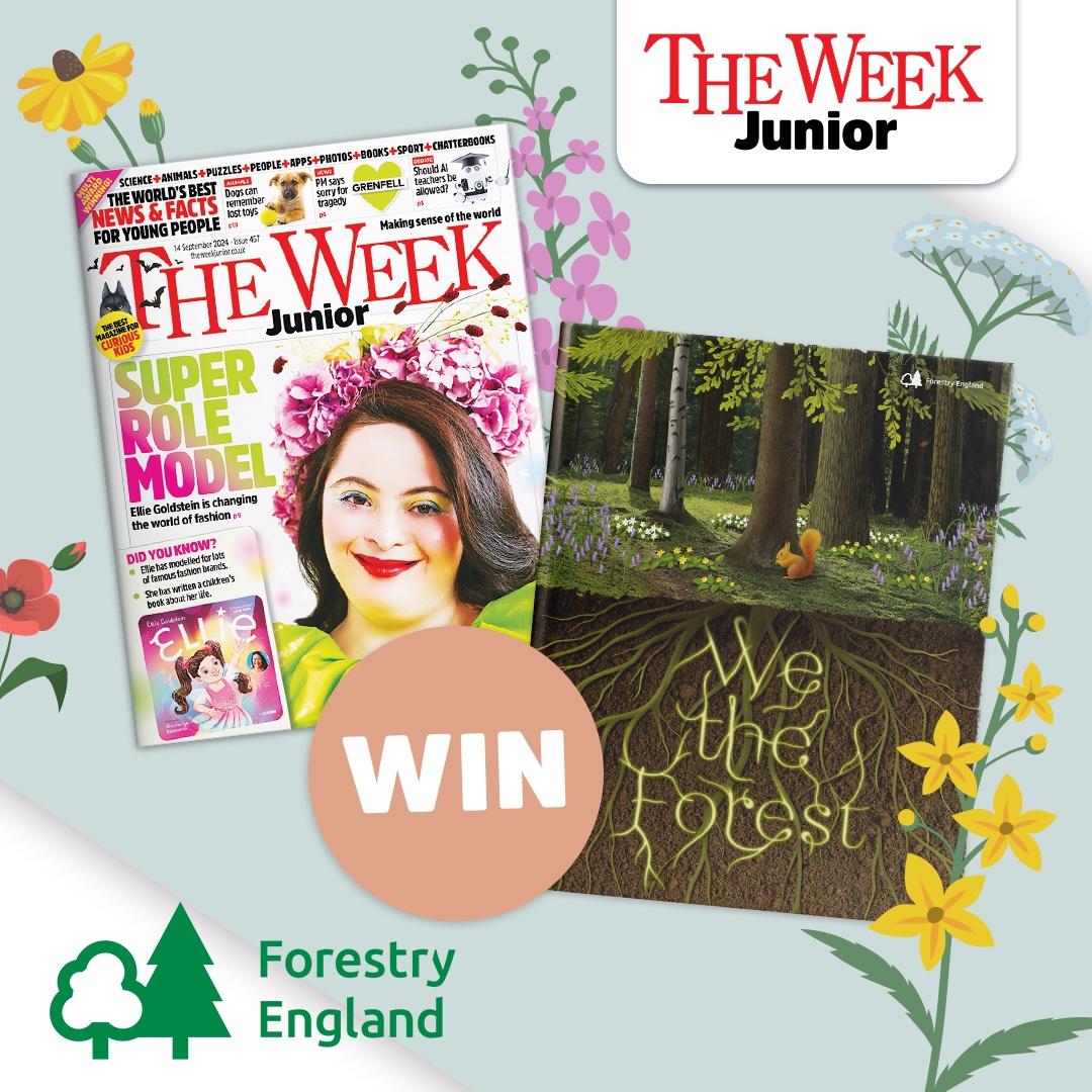 theweekjunior's tweet image. Our competition with @forestryengland closes today.  Don’t miss your chance to win the magical ‘We the Forest’ book and a 12 month subscription to The Week Junior. 🌳

Enter now and stand a chance to win! theweekjunior.co.uk/forestryenglan… 

#Competitiontime #kidsmagazine #forestryengland