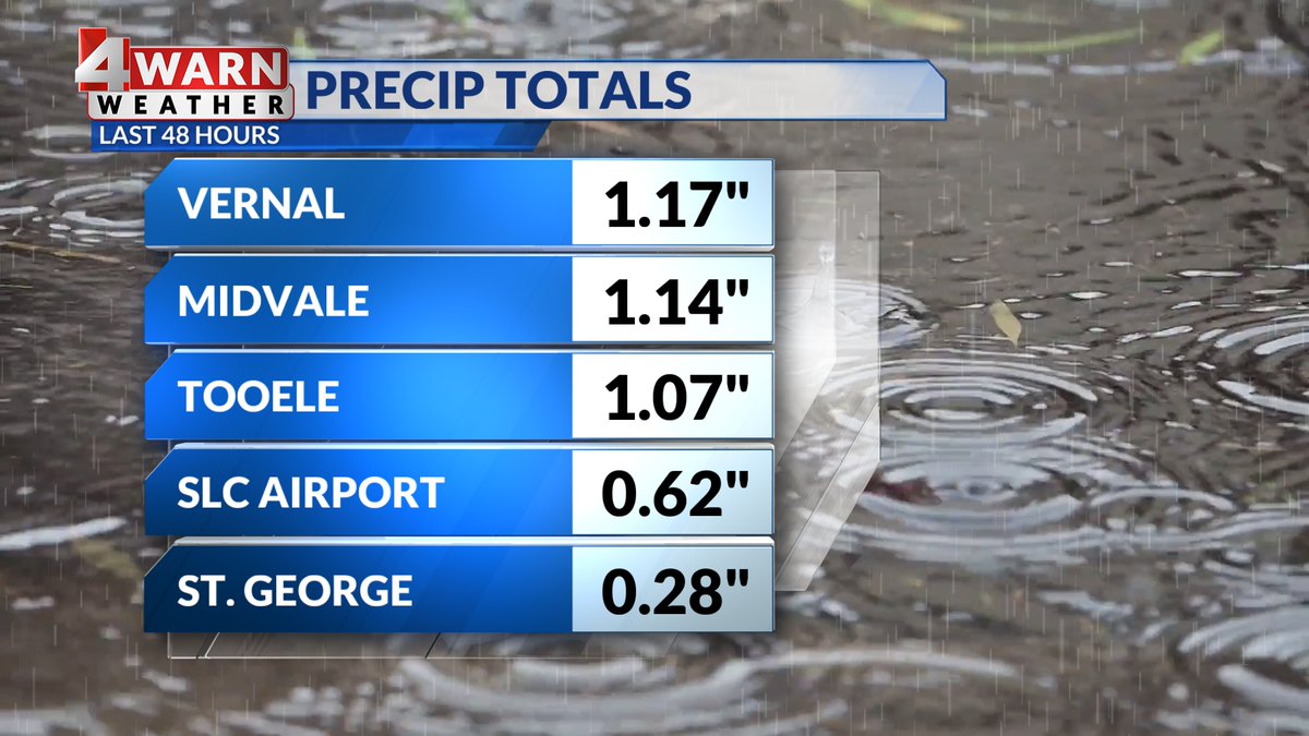 Alana Brophy tweet media