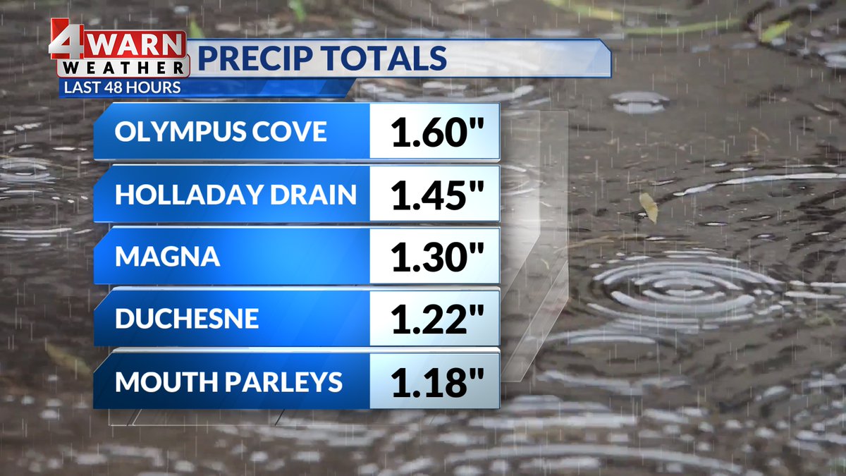 Alana Brophy tweet media