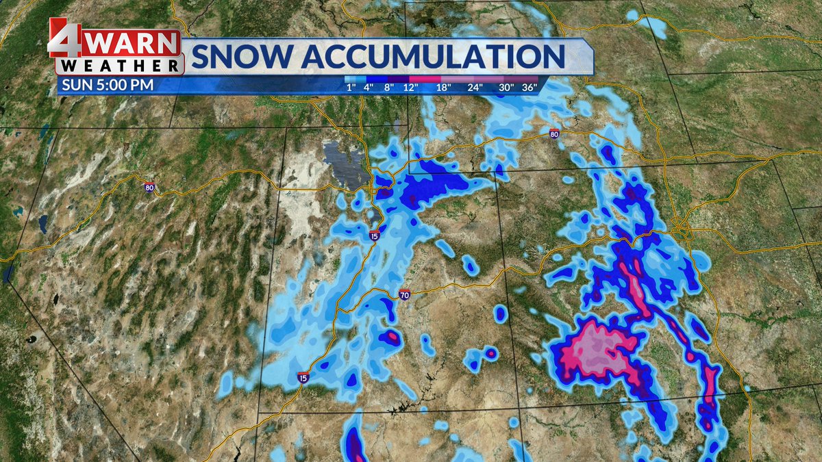 Alana Brophy tweet media