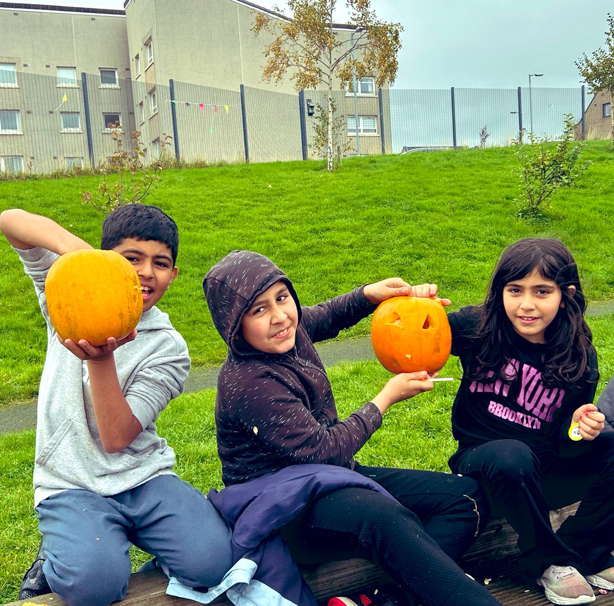 TeriPEEK tweet media